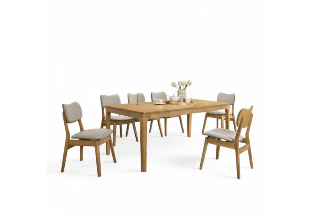 Dining Table 1 + 6 