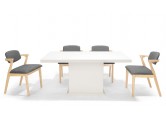 Designer Dining Set ( 1+4 ) 