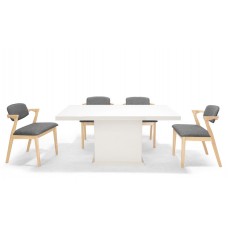 Designer Dining Set ( 1+4 )