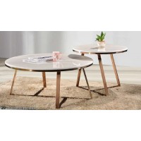 CT-20  Marble Coffee Table Set